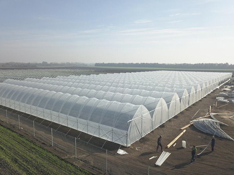Greenhouse UV fim plastik